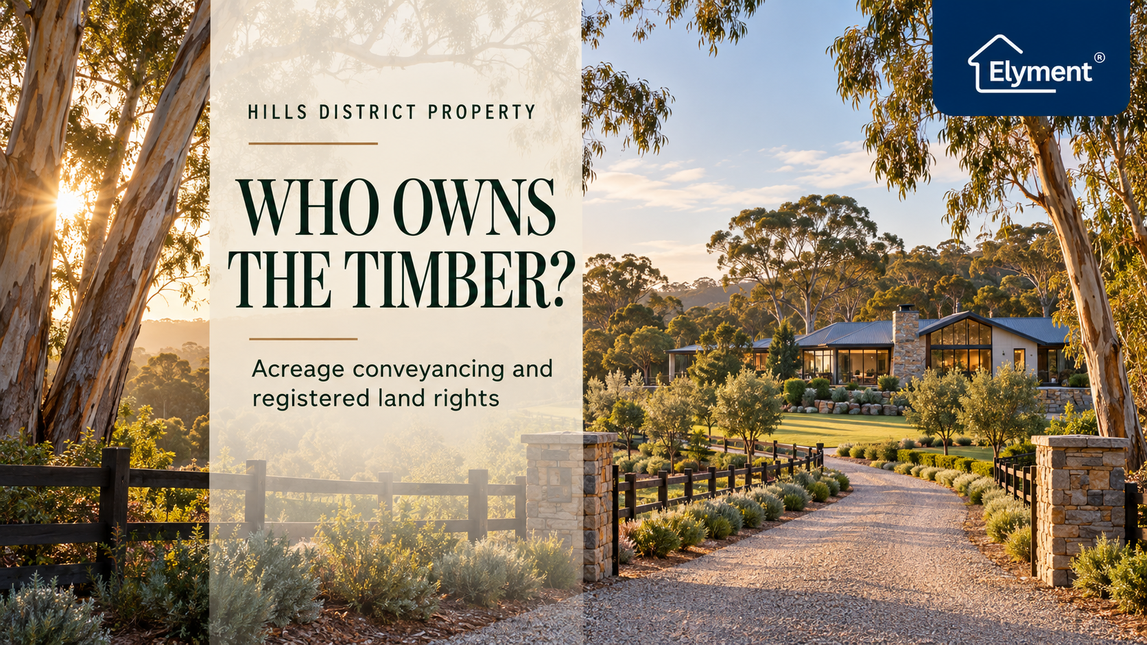 Conveyancer Hills District: Timber Rights on NSW Acreage
