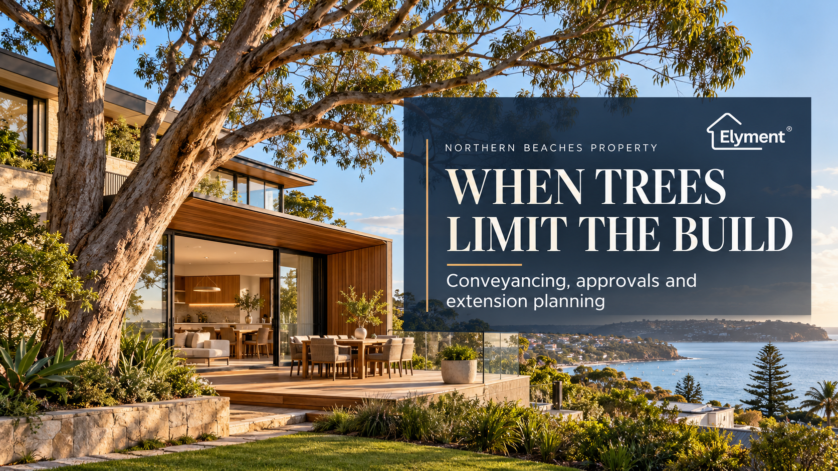 Conveyancing Northern Beaches: Protected Trees and Extensions