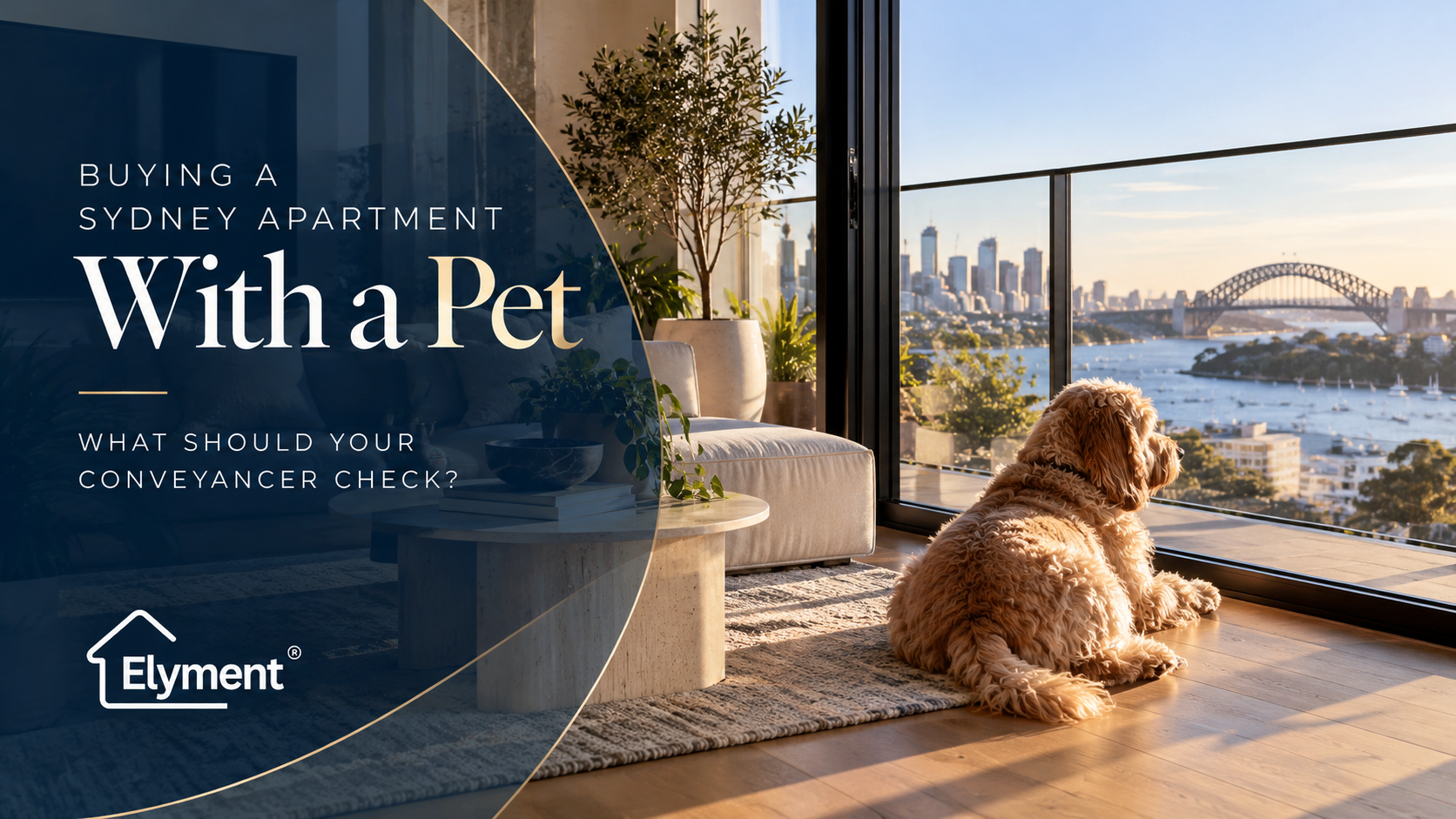 Buying a Sydney Apartment With a Pet: Conveyancer Checks