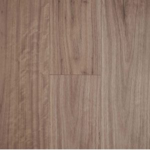 Blackbutt