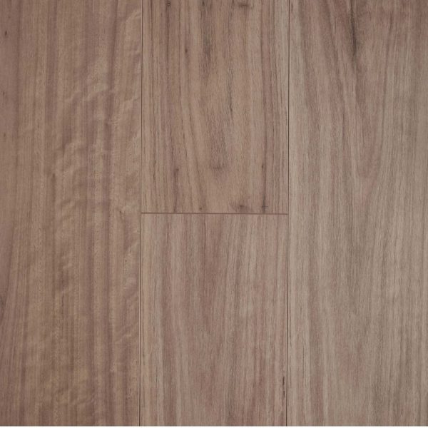 Blackbutt