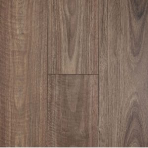 Spotted Gum