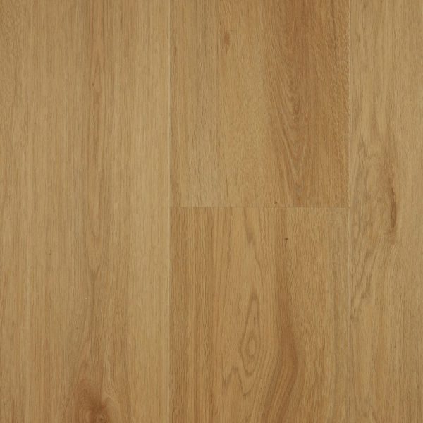 Mountain Oak