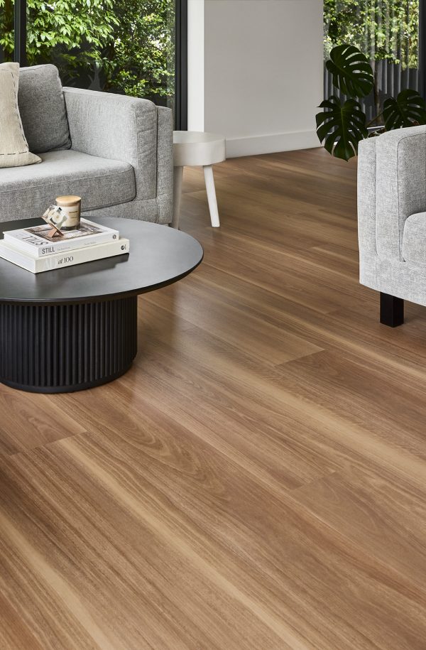 Classic Spotted Gum - Image 2