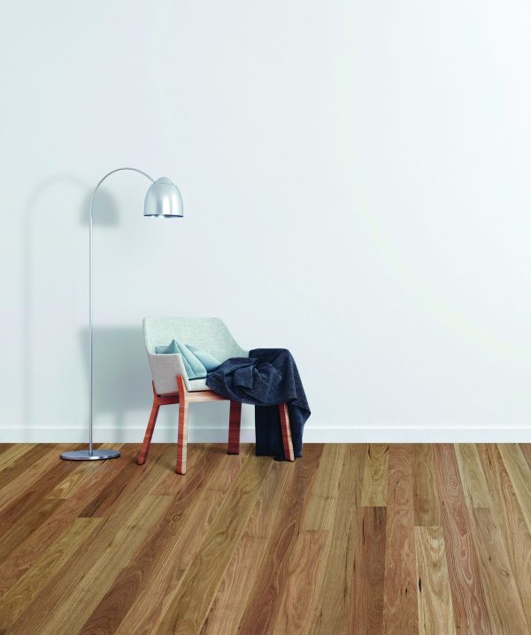 MB Spotted Gum - Image 2