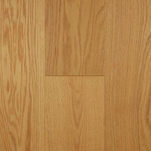 Forest Oak