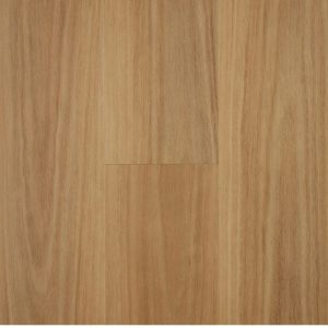 Blackbutt