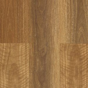 NSW Spotted Gum