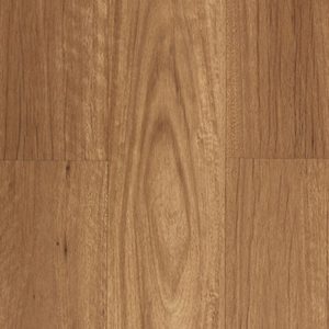 New England Blackbutt