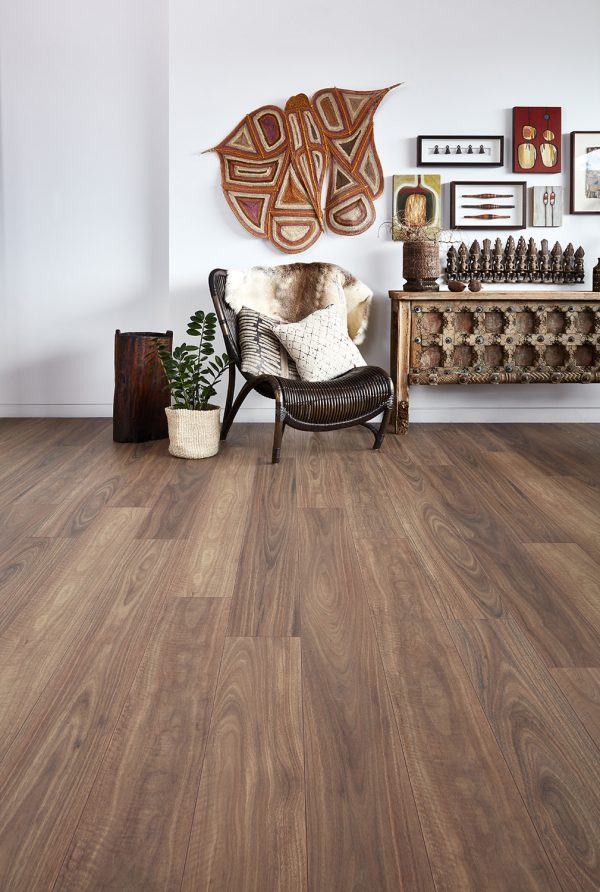 Spotted Gum - Image 2