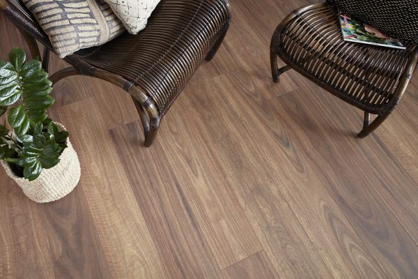 Spotted Gum - Image 3