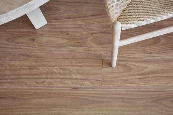 Blackbutt - Image 4