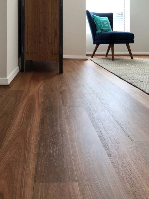 Spotted Gum - Image 2