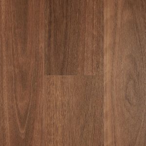 Spotted Gum