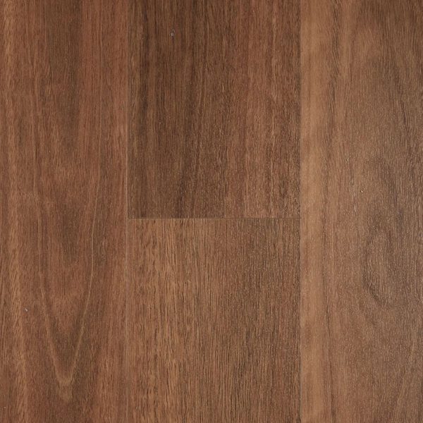 Spotted Gum