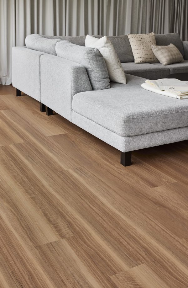 Coastal Spotted Gum - Image 2