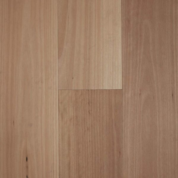 Brushed Blackbutt 180