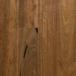 MB Spotted Gum