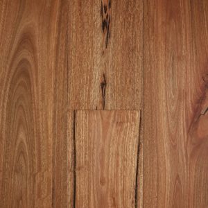 Rustic Spotted Gum