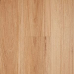 Blackbutt